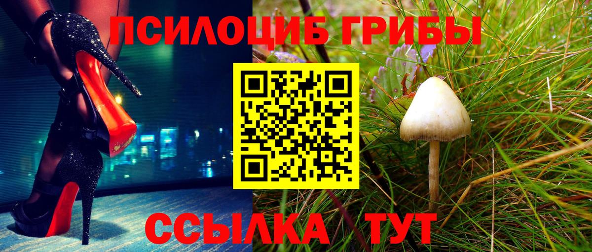 Псилоцибиновые грибы GOLDEN TEACHER Павловский Посад