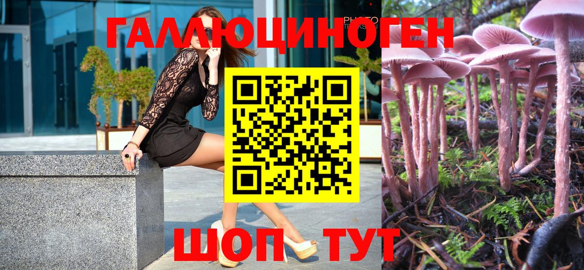 Галлюциногенные грибы MAGIC MUSHROOMS  Вход с VPN  Павловский Посад 